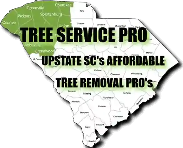 Affordable Tree Service in Greenville - Tree Removal Near Me - SC
